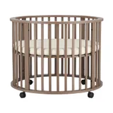 Europe Baby Box Circa - Chestnut