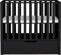 TWF Bas Park Met Lade