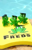 Freds Swim Academy Swim Board