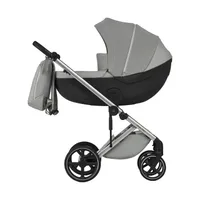 Anex Kinderwagen 2-in-1 Mev