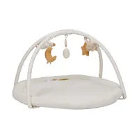 Little Dutch Newborn Activiteiten Speelkleed - 85x85 cm