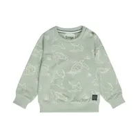 Dirkje Sweater - Maat 68 - Soft Sage