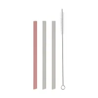 Kikkaboo 3 Rietjes + Borstel - Platina Siliconen