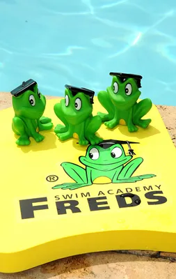 Freds Swim Academy Swim Board