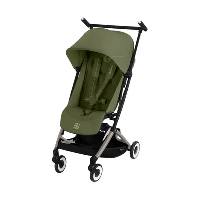 Cybex Buggy Libelle Silver Frame