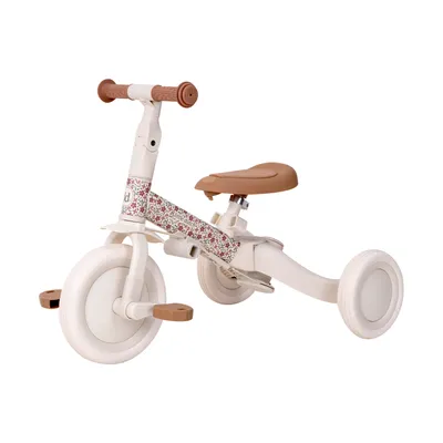 Little Dutch 4-in-1 driewieler