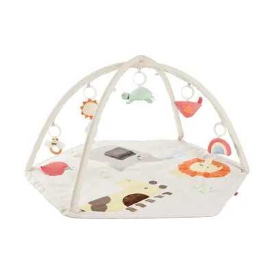 Skip Hop Geometric Wonders Babygym