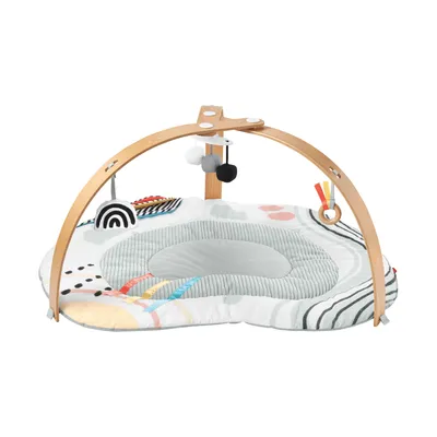 Skip Hop Discoverosity Babygym 