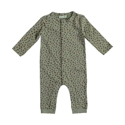 Babylook Dots Boxpak - Mt. 50 - Shadow