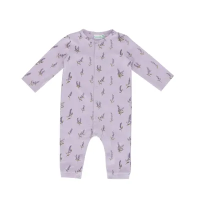 Babylook Lavender Boxpak