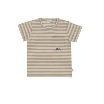 Babylook Bugs T-Shirt Korte Mouw Stripe - Maat 62 - Island Fossil 