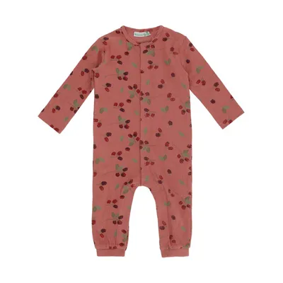 Babylook Berry Boxpak - Dusty Rose