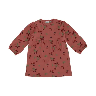 Babylook Berry Jurk Lange Mouw - Dusty Rose