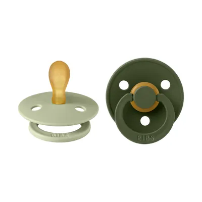 BiBs Fopspeen - Symmetrisch - 2 Stuks - 0-6 Mnd - Sage/Hunter Green