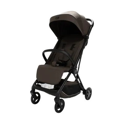 Koelstra Re-act Flow Buggy