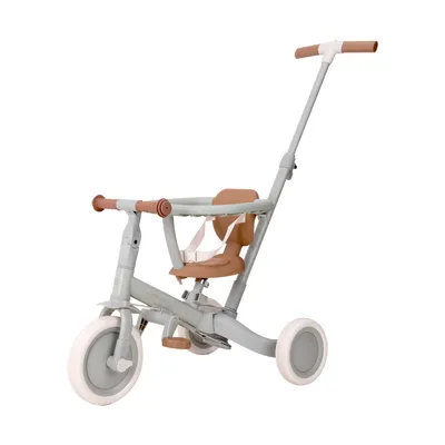 Little Dutch 4-in-1 driewieler