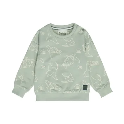 Dirkje Sweater - Maat 74 - Soft Sage