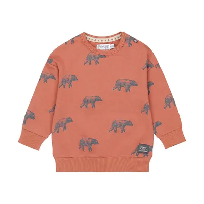 Dirkje Bears Trui - Rust
