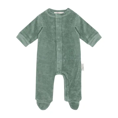Witlof For Kids Velvet Rib Boxpakje - Forest Green