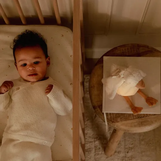 Little Dutch Newborn Knuffelgans Licht & Geluid