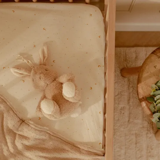 Little Dutch Newborn Knuffelkonijn Licht & Geluid