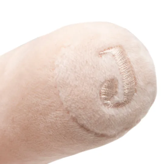 Jollein Rammelaar - Pretty Picnic Ladybug