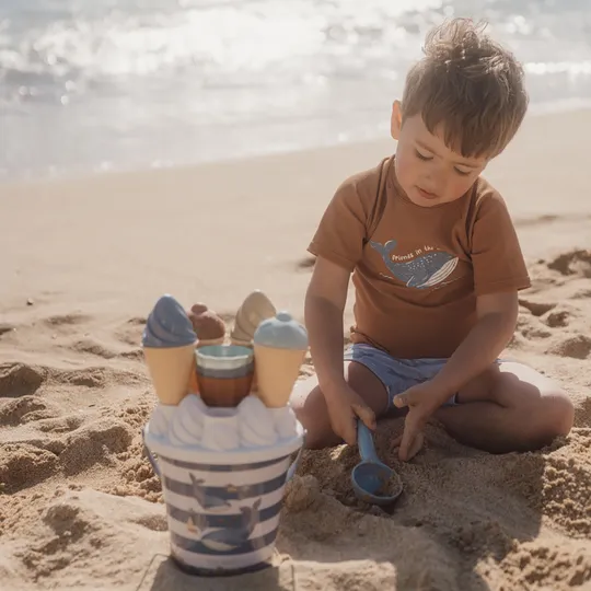 Little Dutch Ocean World IJsjes Emmerset 14 delig