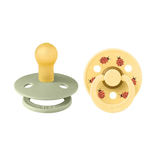 BiBs Studio Colour Fopspeen - Rond - 2 Stuks - 18+ Mnd - Ladybug Sage Mix 