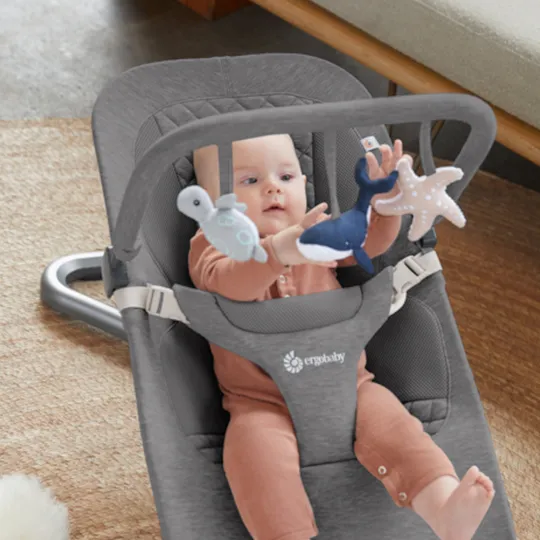 Ergobaby Evolve Toy Bar