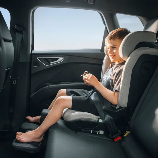 Thule Autostoel - Palm - Booster