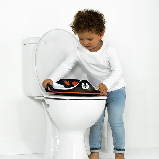 My Carry Potty My Trainer Seat