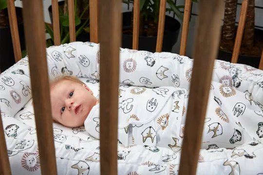 SwaddleMeyco 2-Pack Animal/Uni Wit0-3 Maanden