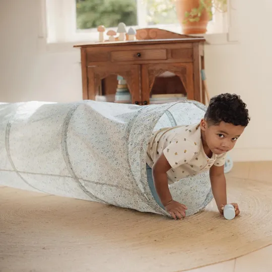 Little Dutch Forest Friends Kruiptunnel