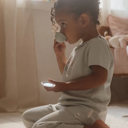 Little Dutch Fairy Garden Servies