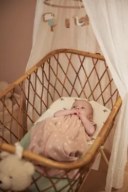 Jollein Slaapzak Zomer Jersey Sun Wild Rose 70cm