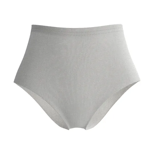 Lansinoh Postpartum Netbroekje - 4 Stuks