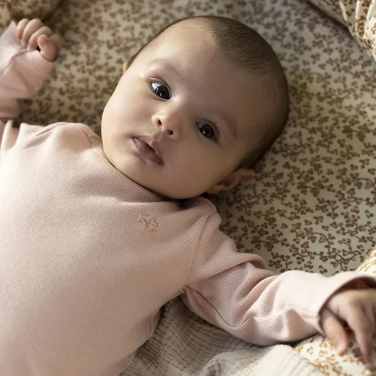 Noppies T-Shirt Rib Natal Rose Smoke 50