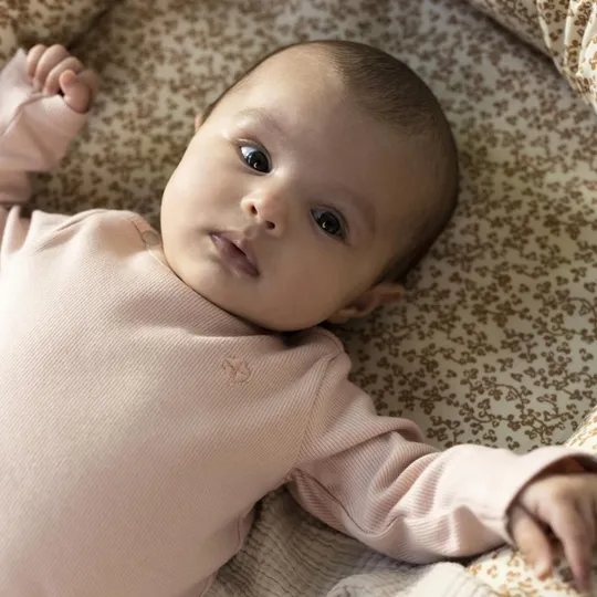 Noppies T-Shirt Rib Natal Rose Smoke 50