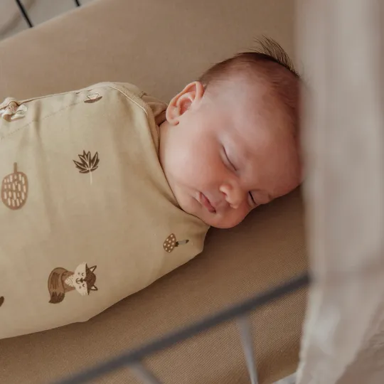 Meyco Inbakerdoek - 2 Stuks - 0-3 Mnd - Forest Animals Sand 