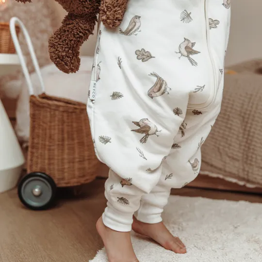 Meyco Baby Slaapzak Jumper Winter Robin Multicolour 104 cm