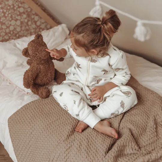 Meyco Baby Slaapzak Jumper Winter Robin Multicolour 104 cm