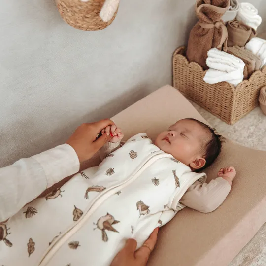 Meyco Baby Slaapzak Met Afritsbare Mouwen Robin Multicolour