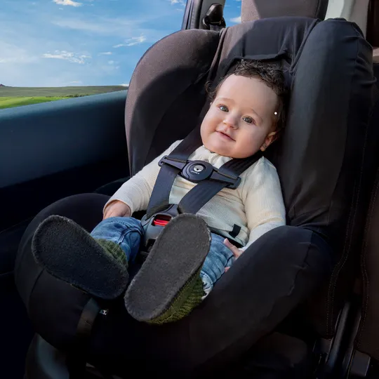 Dooky Seatbelt Safety Clip