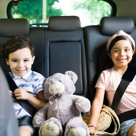 Dooky Gordel Kussen - Black