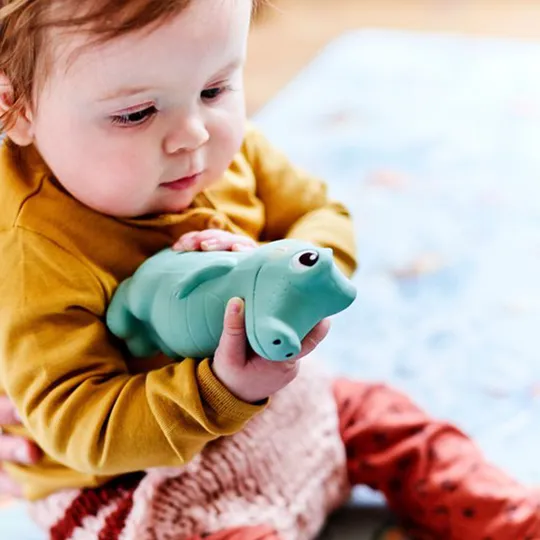 Petit Monkey Badspeeltje - Charlie de Krokodil