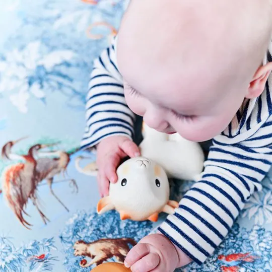 Petit Monkey Badspeeltje - George de Geit