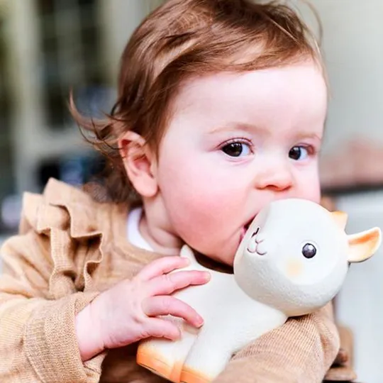 Petit Monkey Badspeeltje - George de Geit