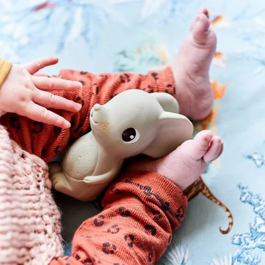 Petit Monkey Badspeeltje - Mollie de Muis