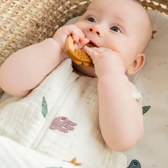 Done By Deer Bijtring - Deer Friends - 2 Stuks