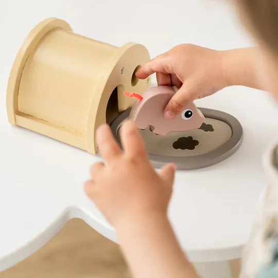 Done By Deer Speelset - Tiny Farm Pigee - Colour Mix